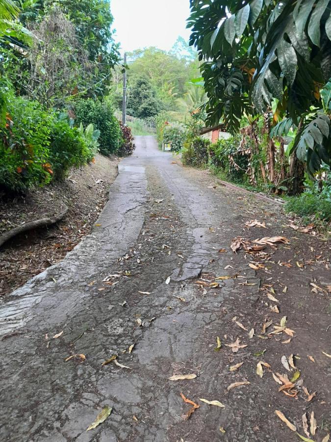 La Fee Amazonienne Hotel Riviere-Pilote Luaran gambar