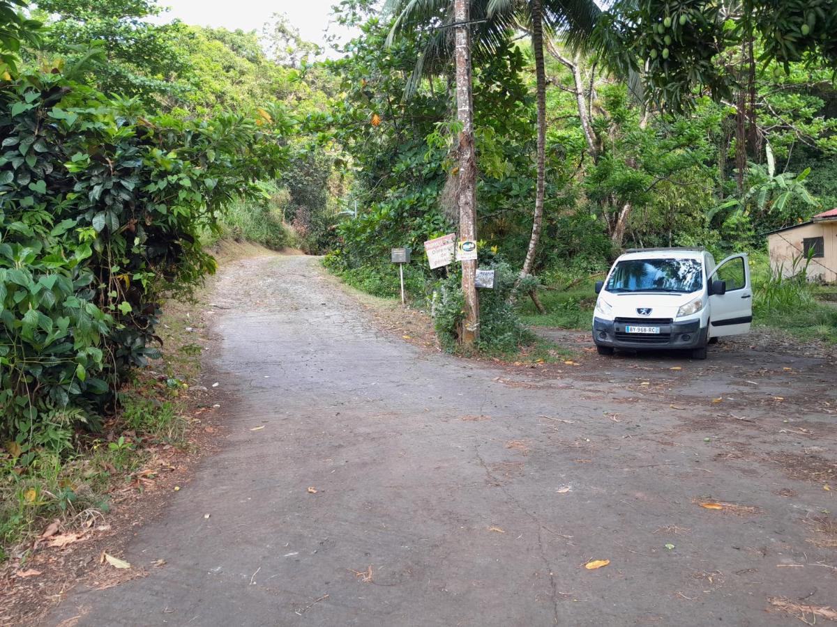 La Fee Amazonienne Hotel Riviere-Pilote Luaran gambar