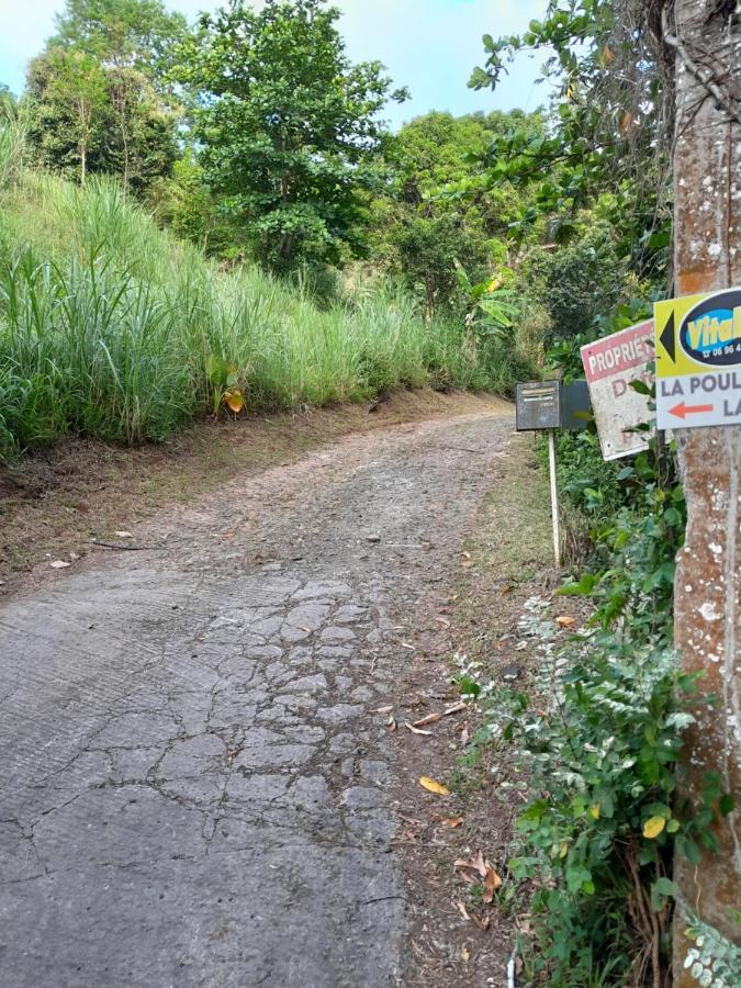 La Fee Amazonienne Hotel Riviere-Pilote Luaran gambar